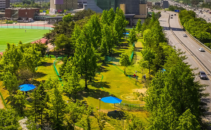 [용인=뉴시스] 수지구 용인아르피아 파크골프장 전경(사진=용인시 제공) 2026. 03. 25. photo@newsis.com *재판매 및 DB 금지