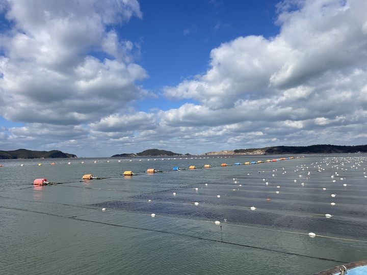 (사진=군산시 제공) *재판매 및 DB 금지