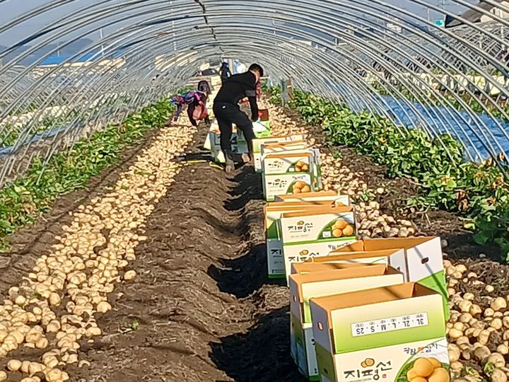 (사진=김제시 제공) *재판매 및 DB 금지