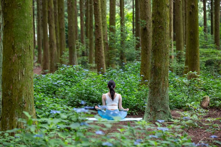 웰니스 프로그램.(사진=강원랜드 제공) *재판매 및 DB 금지