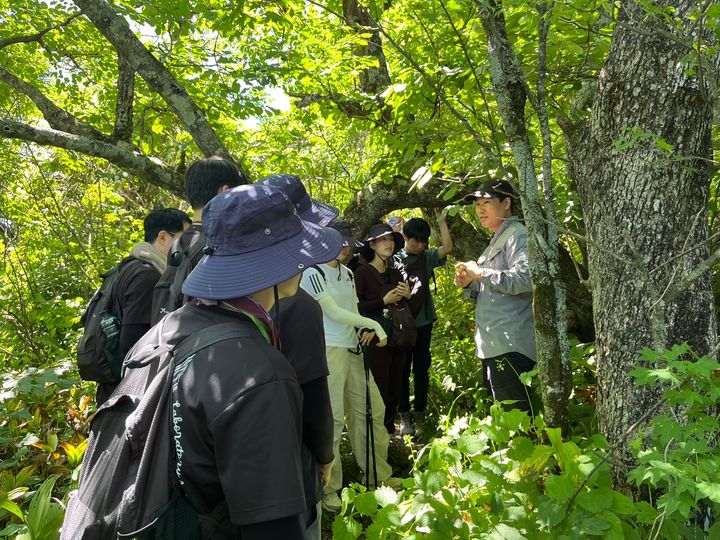 생물 관련 학과 대학생 및 대학원생들이 산림 서식지 흔적을 조사하고 있다. *재판매 및 DB 금지