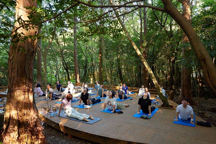 [서귀포=뉴시스] 서귀포치유의숲 숲요가 프로그램 모습. (사진=서귀포시 제공) 2026.03.25. photo@newsis.com *재판매 및 DB 금지