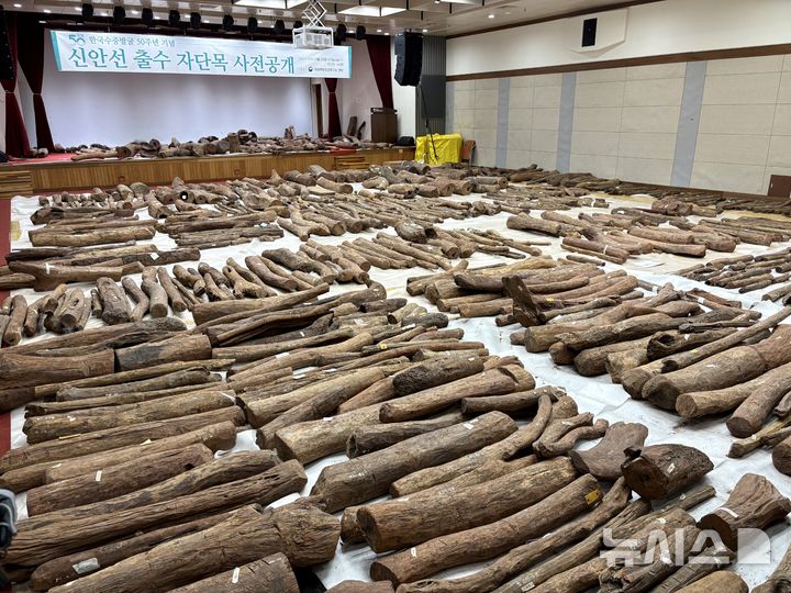 [목포=뉴시스] 한이재 기자 = 25일 전남 목포 국립해양유산연구소 강당에서 신안선 출수 자단목 사전공개가 이뤄지고 있다. 2026.03.25. nowone@newsis.com