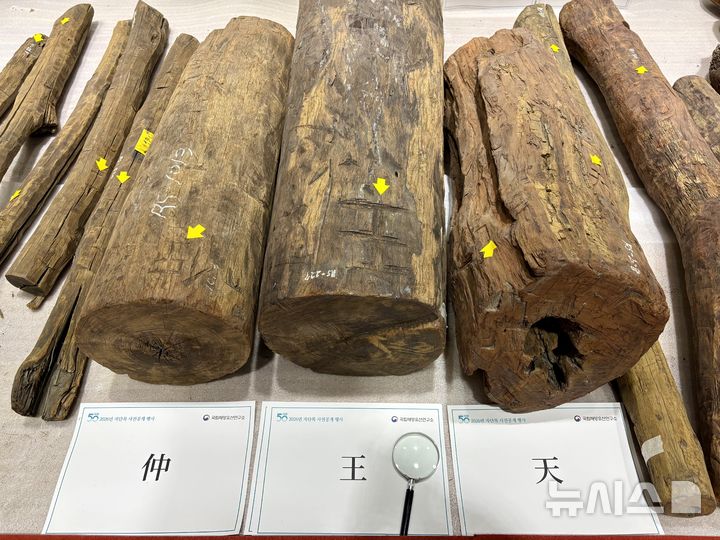 [목포=뉴시스] 한이재 기자 = 25일 국립해양유산연구소 강당에서 공개 중인 신안선 출수 자단목에 한자가 새겨져 있다. 2026.03.25. nowone@newsis.com