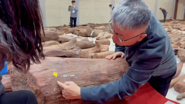 [목포=뉴시스] 한이재 기자 = 25일 이은석 국립해양유산연구소장이 자단목에 새겨진 문양을 가리키고 있다. 2026.03.25. nowone@newsis.com *재판매 및 DB 금지