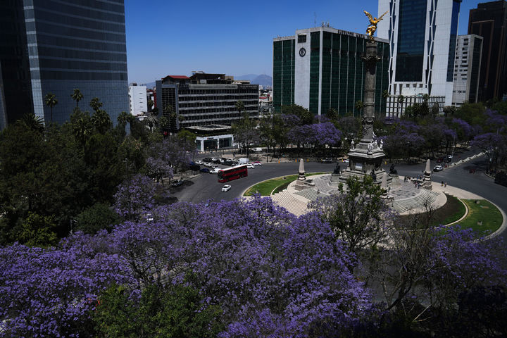 [멕시코시티=AP/뉴시스] 멕시코 수도 멕시코시티 독립기념탑 인근 레포르마대로 전경. 자료사진. 2026.03.27