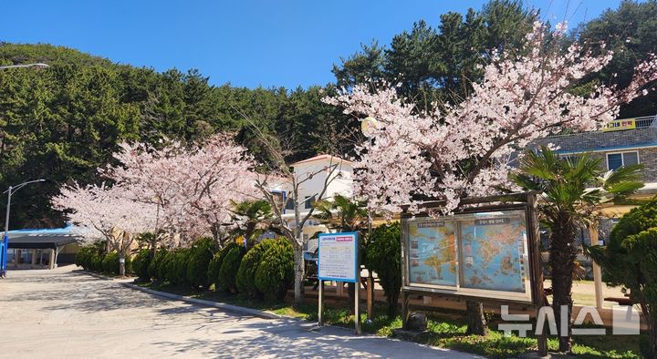 [서울=뉴시스] 경남 통영 궁항마을. 