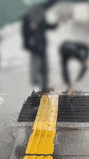 [서울=뉴시스] 일본을 여행하던 한국인 가족이 하수구에 갇힌 백로를 구조하는 장면. (영상출처: 인스타그램) 2026.03.26. *재판매 및 DB 금지