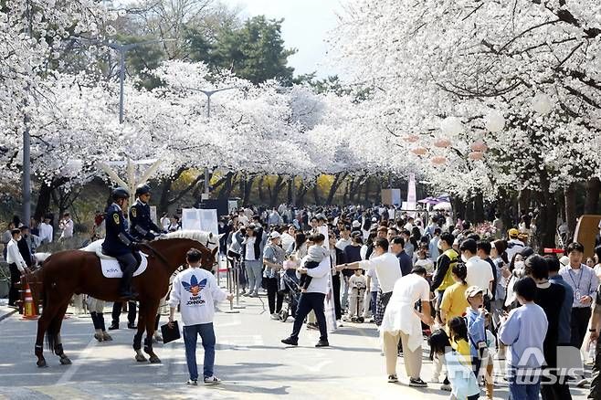 [과천=뉴시스] 렛츠런파크 서울 벚꽃축제 현장. (사진=뉴시스DB).photo@newsis.com