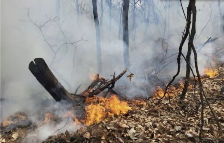 [인천=뉴시스] 경기 부천 야산 산불 현장. (사진=경기소방재난본부 제공) 2026.03.26. photo@newsis.com *재판매 및 DB 금지