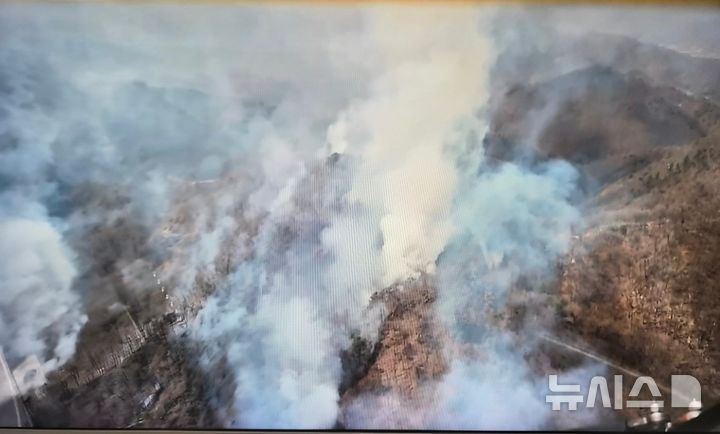 [포항=뉴시스] 26일 오후 1시3분께 경북 포항시 남구 장기면 수성리 군부대 사격장 인근 야산에서 화재가 발생했다.(사진=경북소방본부 제공) 2026.03.26. photo@newsis.com