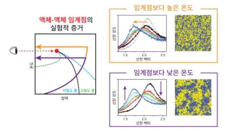 X선 자유전자 레이저를 활용해 관측된 액체-액체 임계점이 존재한다는 실험적 증거에 대한 모식도. (사진=과기정통부 제공) *재판매 및 DB 금지
