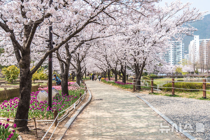 [김해=뉴시스]김해 봄 걷기 좋은 명소 연지공원. 뉴시스DB. photo@newsis.com