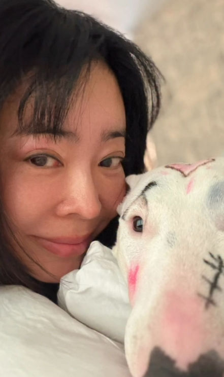 "정상 아냐" 반려견 메이크업 한 이혜영…동물학대 뭇매