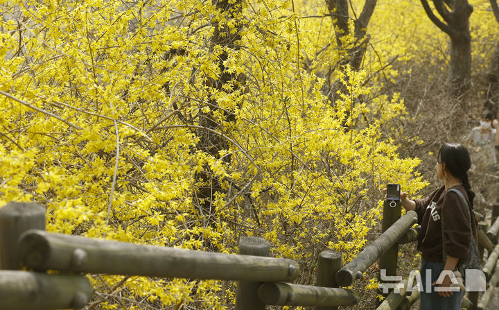 대구·경북, 맑고 큰 일교차…아침 1도·한낮 25도