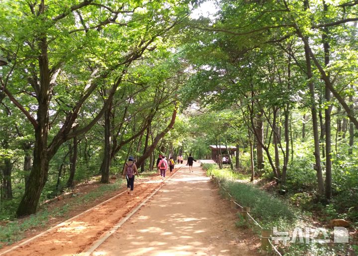 [김해=뉴시스]분성산 생태숲 황톳길 개장. (사진=김해시 제공). 2026.03.27. photo@newsis.com