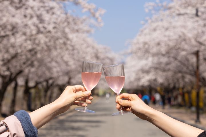 [서울=뉴시스] 켄싱턴호텔 여의도, 호텔 앞 벚꽃길에서 즐기는 봄 나들이(사진=이랜드파크) *재판매 및 DB 금지