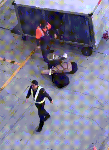 [서울=뉴시스]미국 로스앤젤레스 국제공항(LAX)의 공항 직원이 수하물로 부쳐진 고가의 기타를 활주로에 거칠게 던지는 모습이 포착돼 논란이 일고 있다. (영상=틱톡 갈무리) *재판매 및 DB 금지 *재판매 및 DB 금지