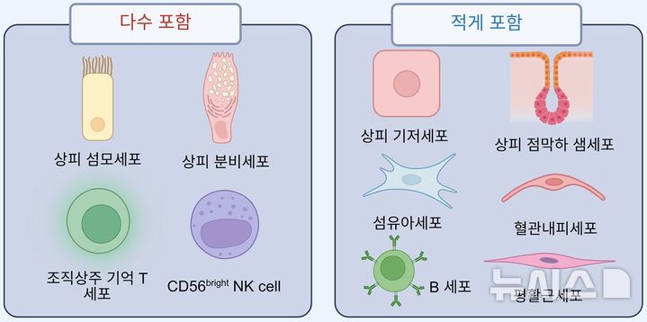 [서울=뉴시스] 코브러싱 검체가 조직 검체보다 더 많이 또는 적게 포함한 세포 종류. (사진= 세브란스병원 제공)