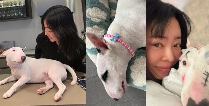 [서울=뉴시스]이혜영과 반려견. 지난 25일 공개된 사진(맨 오른쪽)에는 반려견의 얼굴에 낙서와 같은 메이크업이 돼 있다.(사진=SNS 캡처) 2026.03.27. photo@newsis.com *재판매 및 DB 금지