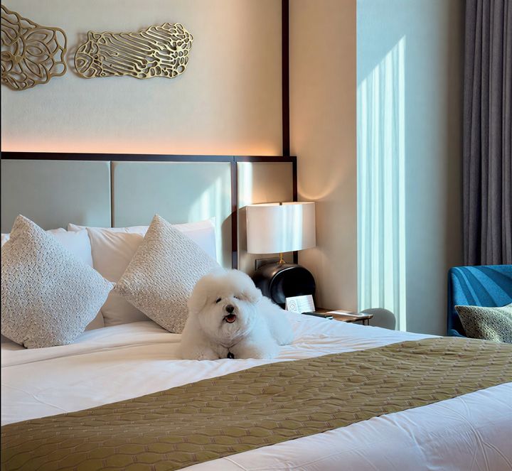 [서울=뉴시스] '그랜드 머큐어 앰배서더 호텔 앤 레지던스 서울 용산' 반려견 동반 전용 객실 '펫룸'. (사진=서울드래곤시티 제공) *재판매 및 DB 금지