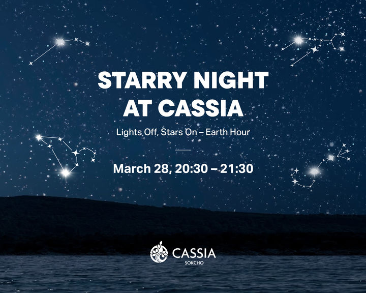 카시아 속초 *재판매 및 DB 금지