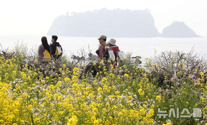 [서귀포=뉴시스] 우장호 기자 = 28일 오전 서귀포시 대륜동 제주올레길 7코스에서 제28회 서귀포 유채꽃 국제걷기대회 참가자들이 활짝 핀 유채꽃을 감상하며 봄 정취를 만끽하고 있다. 2026.03.28. woo1223@newsis.com