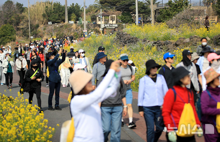 [서귀포=뉴시스] 우장호 기자 = 28일 오전 서귀포시 대륜동 제주올레길 7코스에서 제28회 서귀포 유채꽃 국제걷기대회 참가자들이 활짝 핀 유채꽃을 감상하며 봄 정취를 만끽하고 있다. 2026.03.28. woo1223@newsis.com