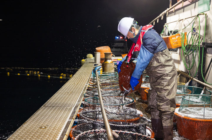 [서울=뉴시스] 김금보 기자 = 정청래 더불어민주당 대표가 28일 경북 영덕군 해역에서 조업 현장 체험을 하고 있다. (사진=더불어민주당 제공) 2026.03.28. photo@newsis.com *재판매 및 DB 금지