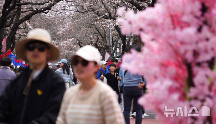[제주=뉴시스] 우장호 기자 = 흐린 날씨를 보인 29일 오전 제주시 삼도1동 거리에 제19회 전농로 왕벚꽃 축제를 즐기려는 시민과 관광객들의 발걸음이 이어지고 있다. 2026.03.29. woo1223@newsis.com