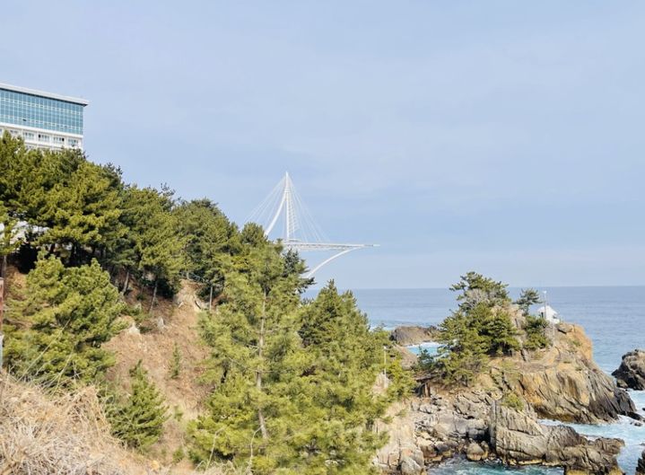 새천년해안도로의 수려한 자연경관을 극대화하고 방문객들이 단순히 스쳐 지나가는 곳이 아닌, 머물며 즐길 수 있는 관광 콘텐츠를 확충하기 위해 추진됐다. 사진 삼척시 *재판매 및 DB 금지