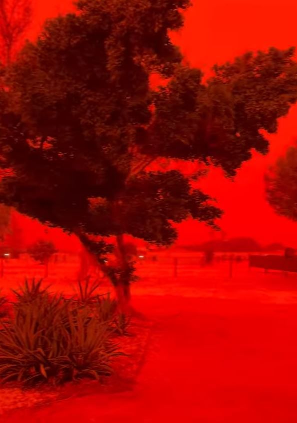 [서울=뉴시스] 호주 샤크 베이 캐러번 공원 측은 지난 27일 소셜미디어(SNS) 페이스북을 통해 붉은색으로 물든 하늘의 모습을 공개했다. (사진='샤크 베이 캐러번 공원' 페이스북 계정 캡처)