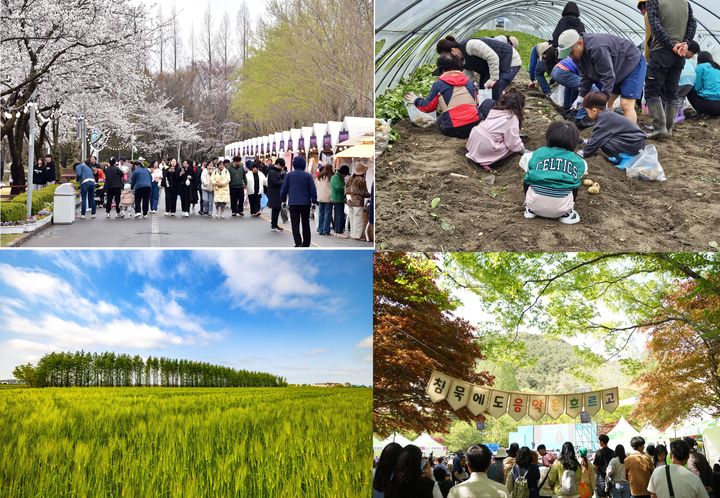 (사진=김제시 제공) *재판매 및 DB 금지