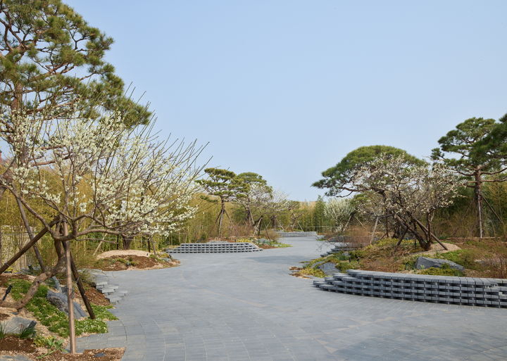 리움미술관 가브리엘 오로즈코 정원_동측 전경.©가브리엘 오로즈코. 리움미술관 제공. 사진: 정희승 *재판매 및 DB 금지