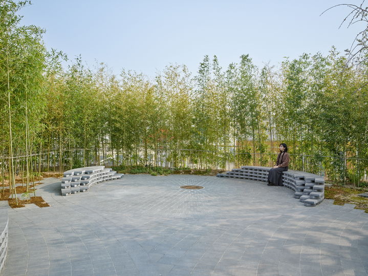 가브리엘 오로즈코 정원, 2026, 대나무 숲. ©가브리엘 오로즈코. 리움미술관 제공. 사진: 정희승 *재판매 및 DB 금지