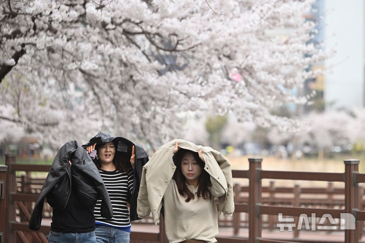 [광주=뉴시스] 이영주 기자 = 광주지역에 비소식이 예보된 30일 오후 광주 북구 서구 운천저수지에서 꽃놀이를 즐기던 시민들이 빗방울이 떨어지기 시작하자 겉옷을 덮으며 피하고 있다. 2026.03.30. leey2578@newsis.com