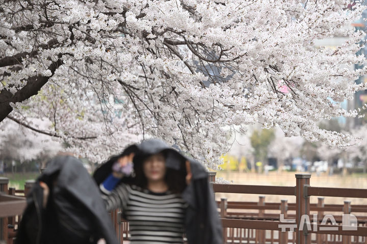 충북 곳곳 빗방울…낮 최고 16도