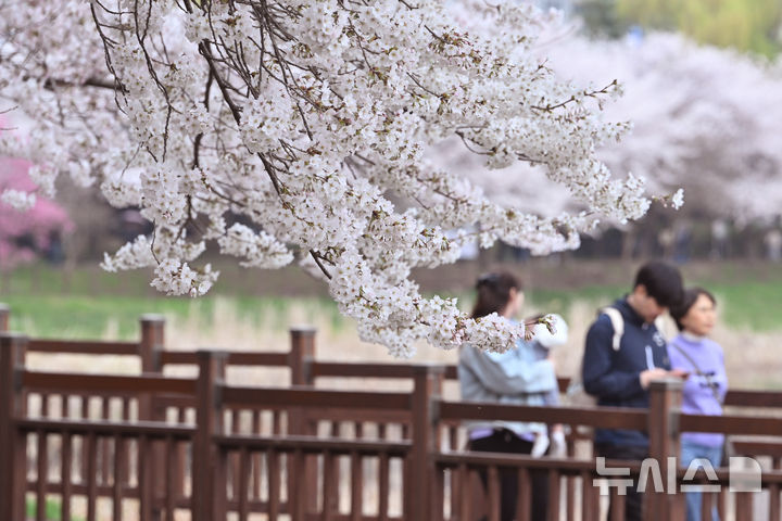 [광주=뉴시스] 이영주 기자 = 광주지역에 비소식이 예보된 30일 오후 광주 북구 서구 운천저수지에서 시민들이 꽃놀이를 즐기고 있다. 2026.03.30. leey2578@newsis.com