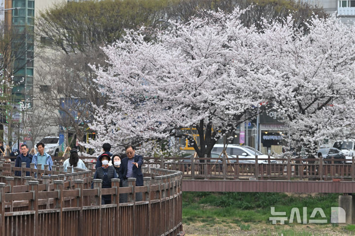 [광주=뉴시스] 이영주 기자 = 광주지역에 비소식이 예보된 30일 오후 광주 북구 서구 운천저수지에서 시민들이 꽃놀이를 즐기고 있다. 2026.03.30. leey2578@newsis.com