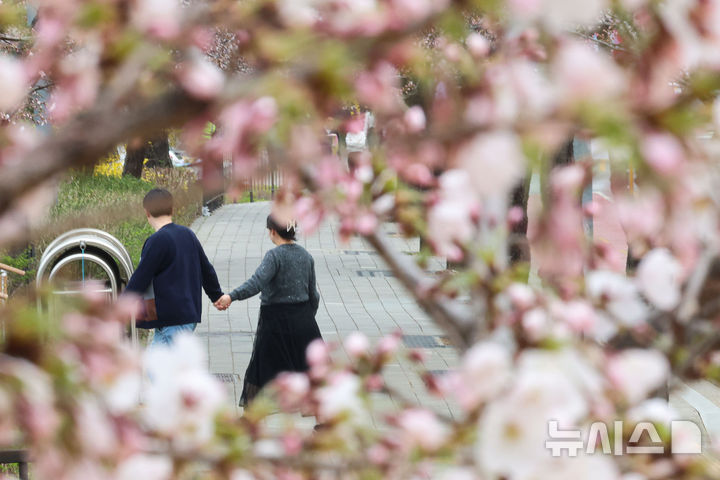 [서울=뉴시스] 권창회 기자 = 30일 서울 여의도 윤중로 벚꽃길에 벚꽃이 피어있다. 윤중로 벚꽃길은 오는 4월 1일부터 여의도 봄꽃축제를 위해 교통이 전면통제된다. 2026.03.30. kch0523@newsis.com