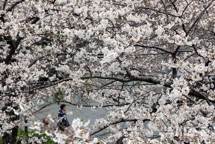 부산, 대체로 맑은 날씨…낮 최고기온 20도