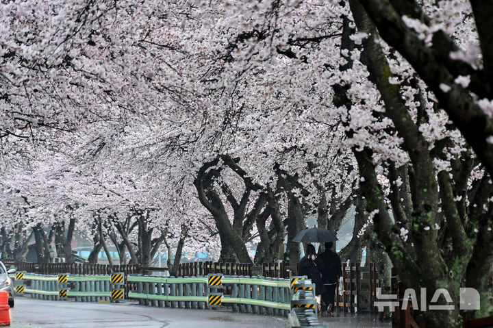 울산 오후까지 봄비…해안가 강풍 주의