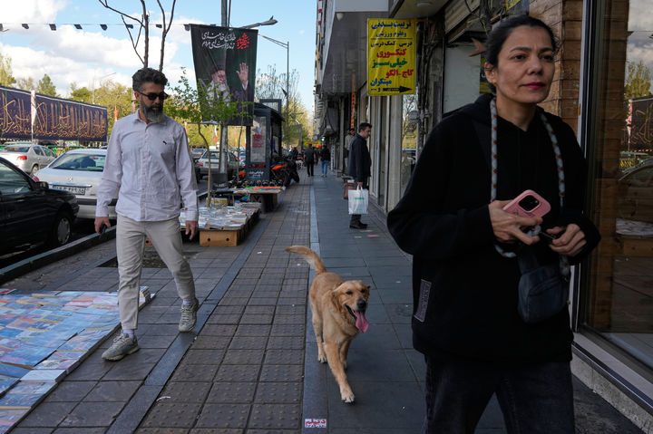 [테헤란=AP/뉴시스] 30일(현지 시간) 이란 테헤란 도심 엔켈라브(혁명) 거리에서 시민들이 반려견과 함께 산책하고 있다. 2026.03.31.