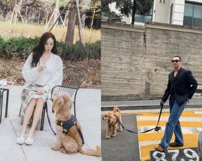 [서울=뉴시스] 지난달 혼인신고를 마치고 법적 부부가 된 배우 변요한과 그룹 소녀시대 출신 티파니 영이 소셜미디어를 통해 간접적으로 신혼 일상을 공개했다. (사진=인스타그램 캡처) 2026.03.31. photo@newsis.com *재판매 및 DB 금지