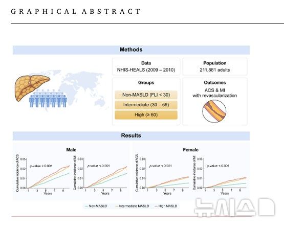 [서울=뉴시스] 대사이상 지방간질환(MASLD)은 심장 혈관이 막히는 급성 관상동맥 증후군 및 심근경색 등 시술이나 수술이 필요한 심혈관질환 발생 위험을 높일 수 있다. (사진= 세브란스병원 제공)