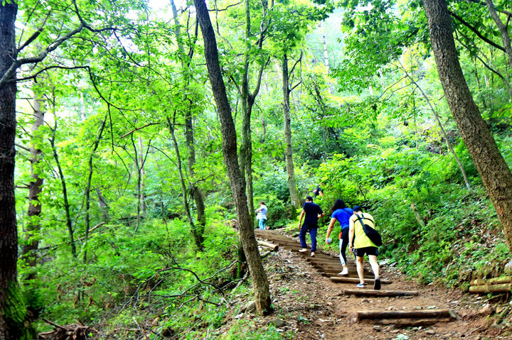 경산시 도심에 위치해 시민들이 즐겨찾는 성암산 *재판매 및 DB 금지