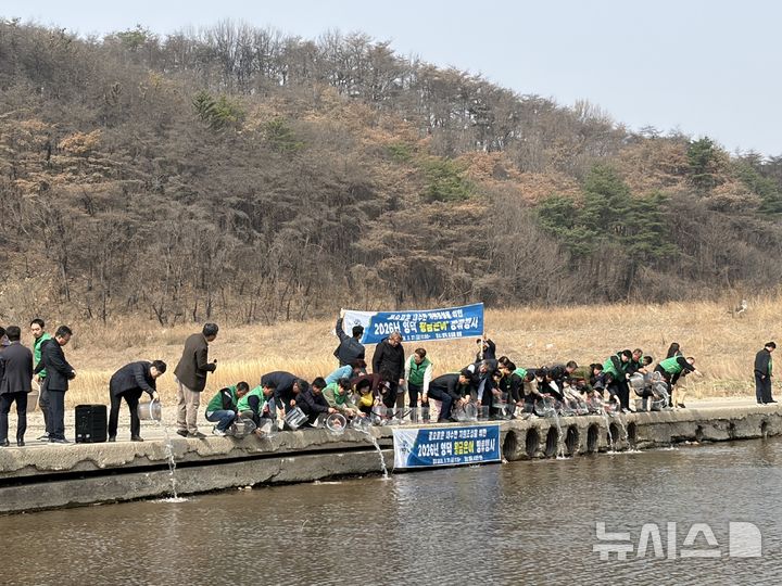 [영덕=뉴시스] 안병철 기자 = 최근 경북 영덕군이 오십천에서 황금은어 40만 마리를 방류했다.(사진=영덕군 제공) 2026.03.31. photo@newsis.com
