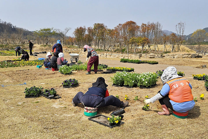 나주방문의 해를 맞아 영산강정원을 찾을 관광객과 시민들을 위해 정원 곳곳에 꽃묘를 식재하고 있다. (사진=나주시 제공) photo@newsis.com *재판매 및 DB 금지
