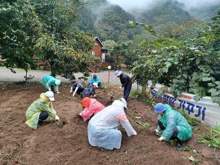 [양양=뉴시스] 지난해 양양에서 살아보기 참가자들이 영농활동을 하고 있다.(사진=양양군 제공)photo@newsis.com *재판매 및 DB 금지