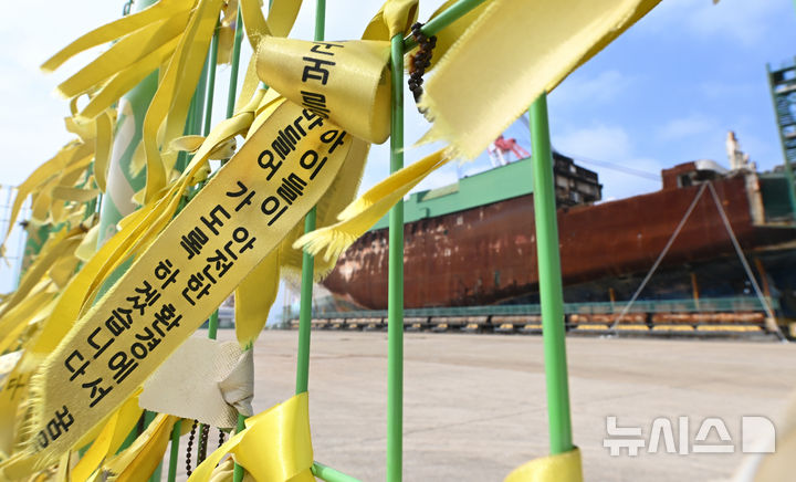 [목포=뉴시스] 이영주 기자 = 세월호 참사 12주기를 보름여 앞둔 31일 오전 전남 목포시 제2목포 신항만 세월호 거치소에 세워진 세월호 주변으로 노란 리본이 바람에 휘날리고 있다. 2026.03.31. leeyj2578@newsis.com